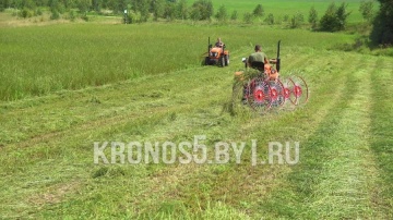 Грабли-сеноворошилки D-Pol | Д-пол ГВН-4